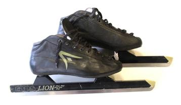 RAPS LION SCHAATS MAAT 41 beschikbaar voor biedingen