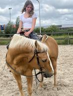Verzorgpaard gezocht, Dieren en Toebehoren, Paarden en Pony's | Verzorgingsproducten, Ophalen of Verzenden, Zo goed als nieuw