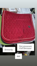 Kentucky, Dieren en Toebehoren, Ophalen of Verzenden, Gebruikt, Dekje