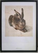 Albrecht Dürer Junger Hase Albertina Museum Wien (NIEUW), Antiek en Kunst, Kunst | Schilderijen | Klassiek, Ophalen of Verzenden