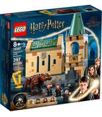 LEGO 76387 HARRY POTTER - Zweinstein: Pluizige ontmoeting, Kinderen en Baby's, Speelgoed | Duplo en Lego, Nieuw, Complete set