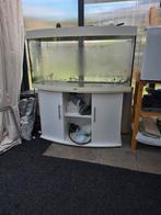 Juwel aquarium, Dieren en Toebehoren, Vissen | Aquaria en Toebehoren, Ophalen, Gebruikt, Leeg aquarium