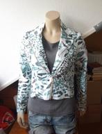 Groen/wit jasje van Dolce Vita - maat 40, Maat 38/40 (M), Ophalen of Verzenden, Gedragen, Groen