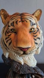 Tijgerkop, Ophalen, Zo goed als nieuw, Dier