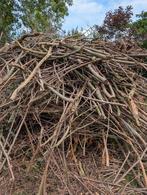 Takken/hout mooi voor versnipperen of vuur, Ophalen
