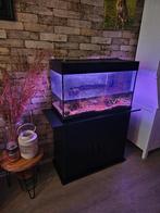 aquarium juwel 125l met pomp, Dieren en Toebehoren, Ophalen, Gebruikt, Leeg aquarium
