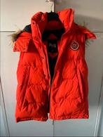 Superdry bodywarmer xl, Kleding | Dames, Bodywarmers, Ophalen of Verzenden, Zo goed als nieuw, Maat 46/48 (XL) of groter, Zwart