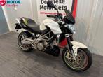 APRILIA SHIVER 750 ABS (bj 2009), 750 cc, 2 cilinders, Bedrijf, Meer dan 35 kW