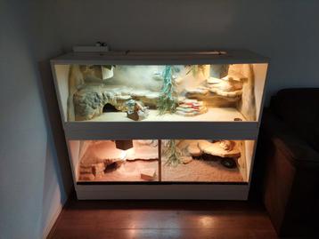 Terrarium 140cm breed beschikbaar voor biedingen