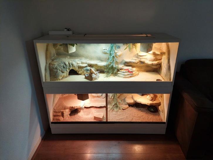 Terrarium 140cm breed, Dieren en Toebehoren, Reptielen en Amfibieën | Toebehoren, Ophalen
