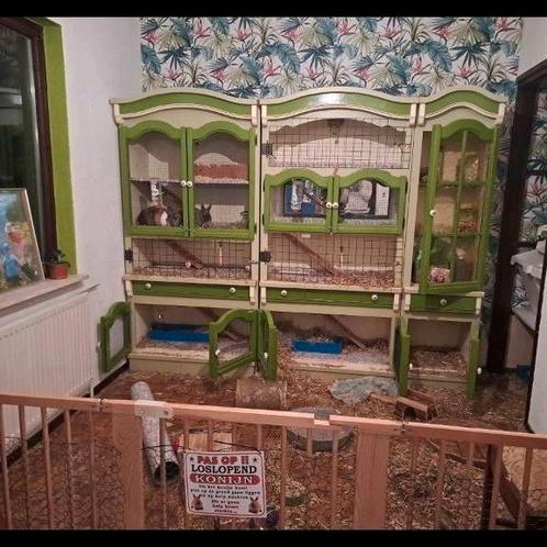 Groot binnen verblijf konijenhok, Dieren en Toebehoren, Knaagdieren en Konijnen | Hokken en Kooien, Zo goed als nieuw, Hok, 90 cm of meer