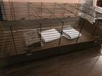 Mooie kooi voor cavia's of konijnen 140 cm met evt. tafeltje, Dieren en Toebehoren, Kooi, 110 cm of meer, Cavia, Zo goed als nieuw
