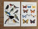 VOGELS VLINDERS  meerdere sets beschikbaar, Ophalen, 1980 tot heden, Vogel