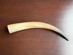 Longhorn Hoorn • 50cm • Decoratie, Ophalen of Verzenden