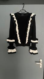 Trui reinders xs 5,-, Kleding | Dames, Ophalen of Verzenden, Zo goed als nieuw, Maat 34 (XS) of kleiner, Overige kleuren