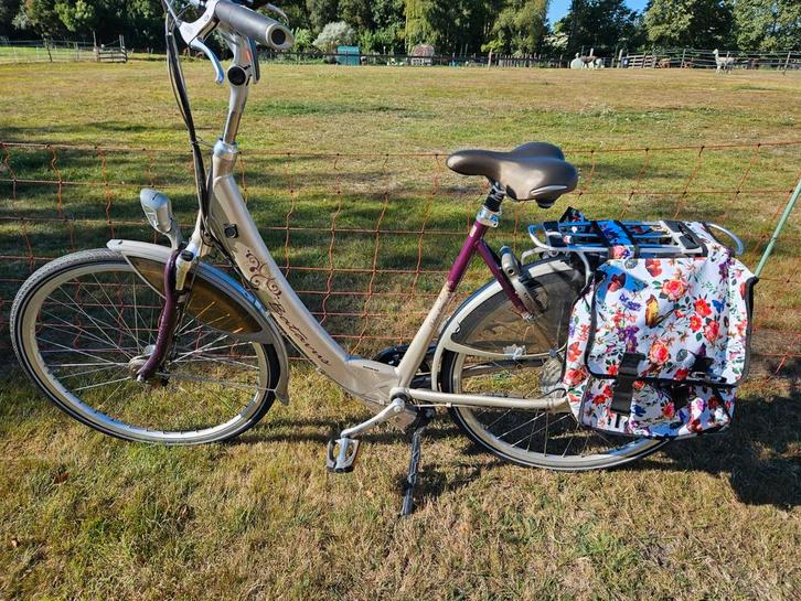 Batavus Padova Easy - Goed onderhouden, Fietsen en Brommers, Fietsen | Dames | Damesfietsen, Gebruikt, Batavus, (Extra) lage instap