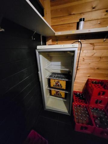 Drankenkoeling / Koelkast - Horeca beschikbaar voor biedingen