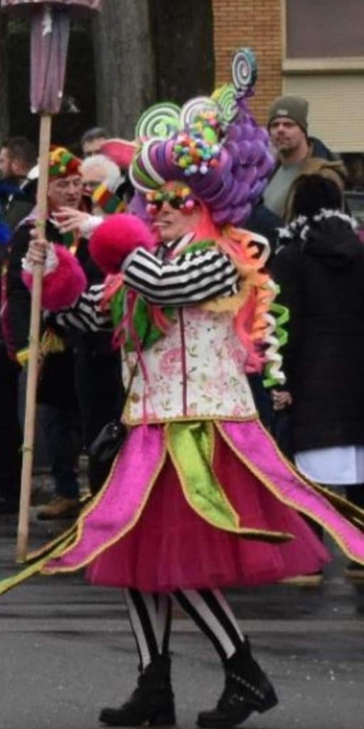 Carnavalskleding + hoeden (verlicht), Kleding | Dames, Ophalen, Carnaval, Maat 42/44 (L), N.v.t.