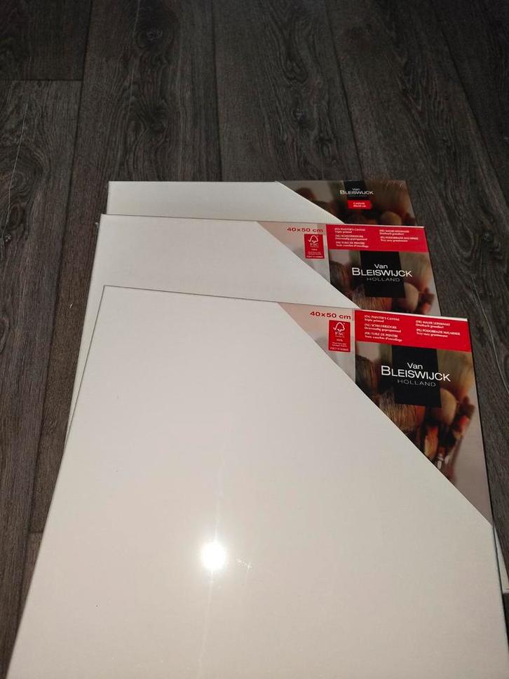 3x Van Bleiswijck schildersdoeken 40x50cm - Nieuw, Hobby en Vrije tijd, Schilderen, Nieuw, Ophalen