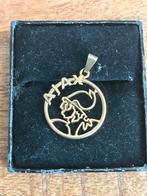 Gouden Ajax hanger, Sieraden, Tassen en Uiterlijk, Kettinghangers, Ophalen of Verzenden, Zo goed als nieuw, Goud