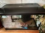 HS Aqua Aquarium Platy 70 LED | 70L | 59 x 31 x 39 CM Zwart, Ophalen, Zo goed als nieuw, Leeg aquarium