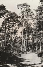 Zeist, Zeister Bosch 1963, Verzenden, 1960 tot 1980, Gelopen, Utrecht