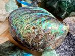 Paua abalone schelp smudging edelstenen mineralen, Verzamelen, Mineralen en Fossielen, Ophalen of Verzenden