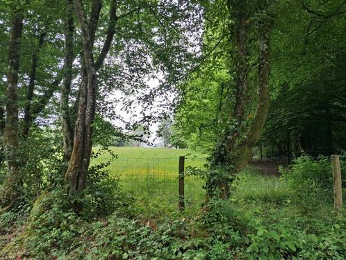 Droomplek voor pensioen of opfok aangeboden, Dieren en Toebehoren, Stalling en Weidegang, Opfok, Stalling, Weidegang, 2 of 3 paarden of pony's
