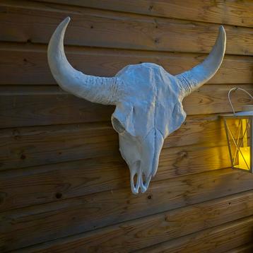 2 mooie witte kunstof buffelschedels.  beschikbaar voor biedingen
