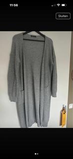 Grijze SHEIN vest - Maat M, Kleding | Dames, Truien en Vesten, Ophalen of Verzenden, Zo goed als nieuw, Maat 38/40 (M), Grijs