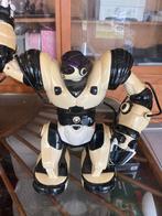 Oude robot, Ophalen of Verzenden