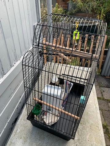 Vogel kooi beschikbaar voor biedingen