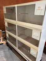 6 kunststof kweekkooien parkieten/ agaporniden, Ophalen, Zo goed als nieuw, Kunststof, Broedkooi of Kweekkooi