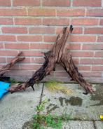 Aquariumhout kienhout XXL, Ophalen of Verzenden, Zo goed als nieuw, Plant(en), Steen of Hout