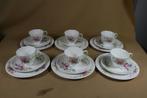 6 kop en schotels + gebaksbordjes Royal Doulton Arcadia, Ophalen of Verzenden