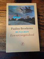 Benjamin, een verzwegen dood - Pauline Broekema, Ophalen of Verzenden, Zo goed als nieuw, Pauline Broekema, Politiek