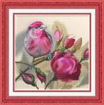 # Compleet nieuw borduurpakket; Rose #, Ophalen of Verzenden, Nieuw, Handborduren, Borduurpakket