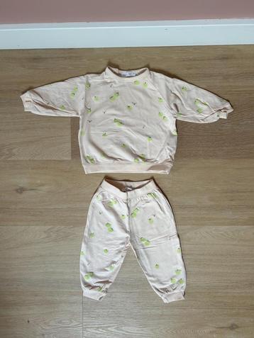Setje van de Zara: broek + sweater met appel print, maat 80 beschikbaar voor biedingen