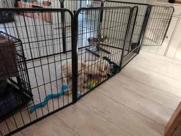 Honden ren / dieren speelhok beschikbaar voor biedingen