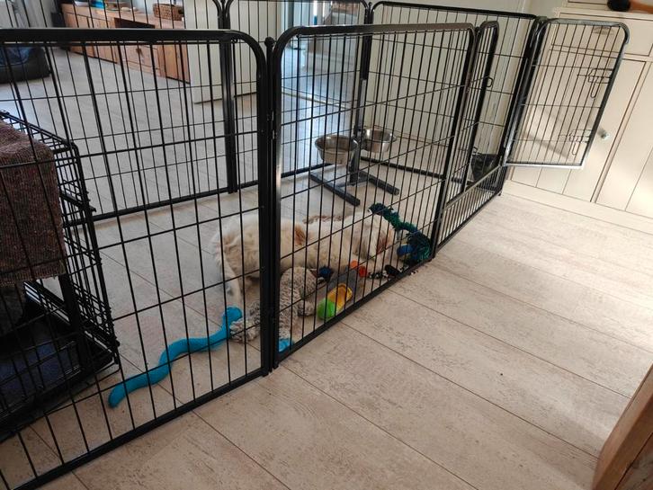 Honden ren / dieren speelhok, Dieren en Toebehoren, Hondenhokken, Zo goed als nieuw, 65 tot 100 cm, 110 cm of meer, Ophalen