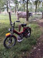 Puch maxi s 65cc, Ophalen, Maximaal 45 km/u, 65 cc, Zo goed als nieuw