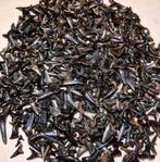 Gezocht haaientanden en of fragmenten per kg., Verzamelen, Mineralen en Fossielen, Ophalen of Verzenden, Fossiel