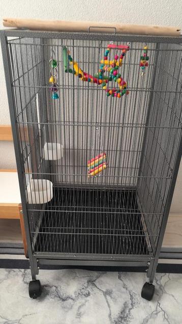 Vogel kooi  beschikbaar voor biedingen