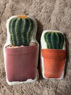 Leuke cactus kussen set, 25 tot 40 cm, Kunststof, Binnen, Ophalen of Verzenden