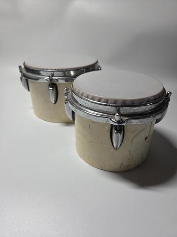 2 tal bongo's beschikbaar voor biedingen