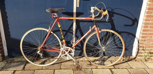 Vintage Team Raleigh Rapide racefiest, Fietsen en Brommers, Fietsen | Racefietsen, Gebruikt, Heren, Overige merken, 10 tot 15 versnellingen