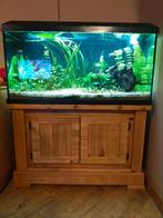 Te koop, Dieren en Toebehoren, Vissen | Aquaria en Toebehoren, Ophalen, Zo goed als nieuw, Gevuld zoetwateraquarium