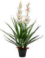 Kunstplant cymbidium orchidee 100cm GRATIS BEZORGD, Verzenden, Nieuw, Binnen