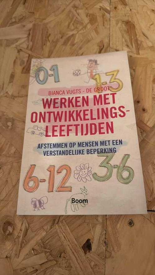 Bianca Vugts- de Groot - Werken met ontwikkelingsleeftijden, Boeken, Wetenschap, Zo goed als nieuw, Ophalen of Verzenden