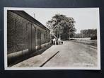 Ansichtkaart Castelré ( Baarle-Nassau ) Beukendreef, Ophalen of Verzenden, 1920 tot 1940, Ongelopen, Noord-Brabant